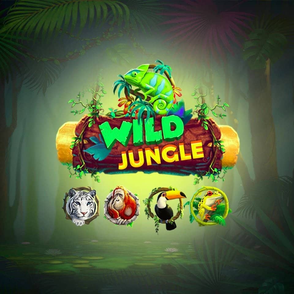 Jogos de