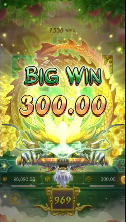 65x6